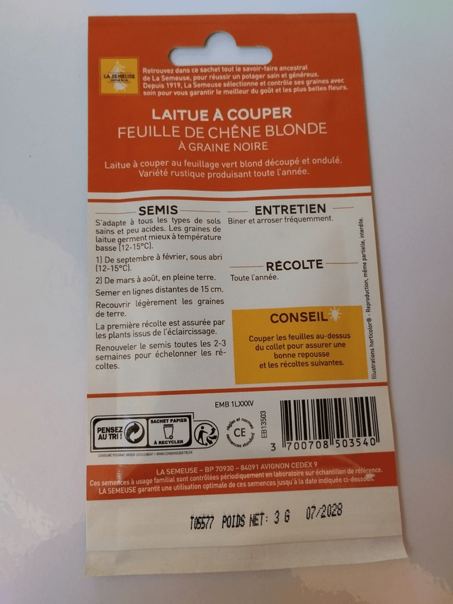 Laitue à couper Feuille de chêne blonde à graine noire