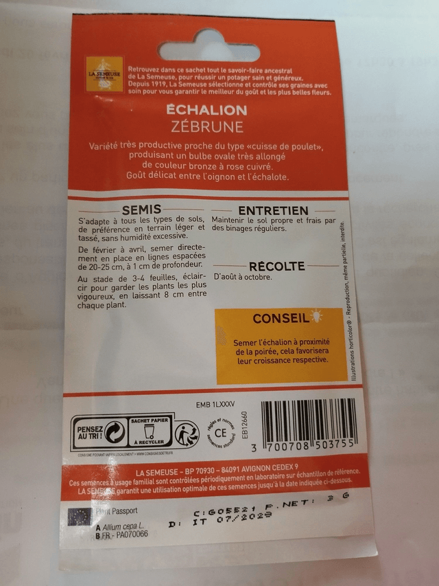 Echalion Zébrune