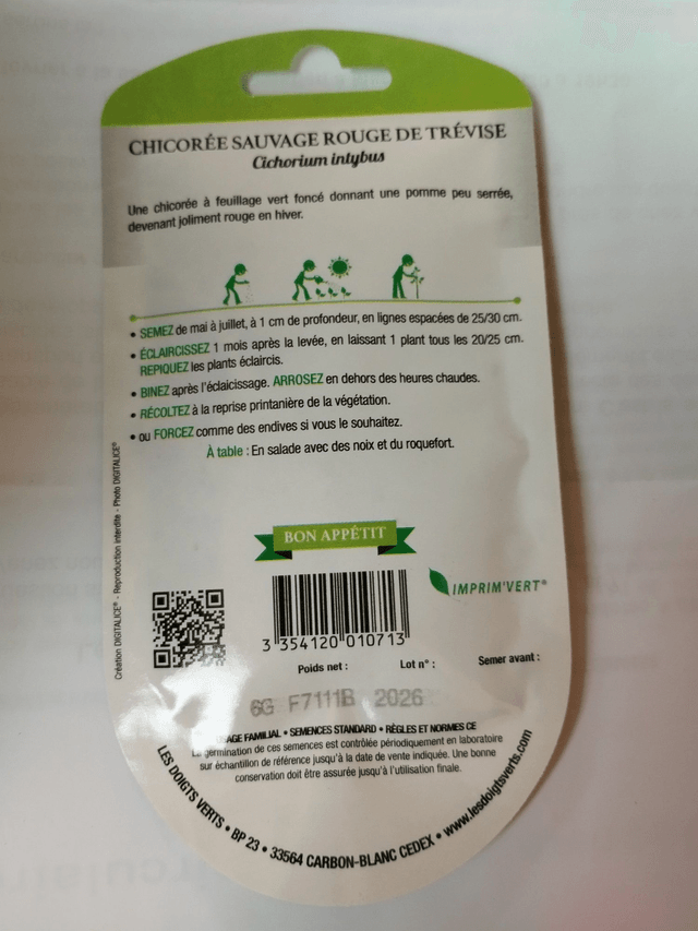Chicorée Sauvage rouge de Trévise