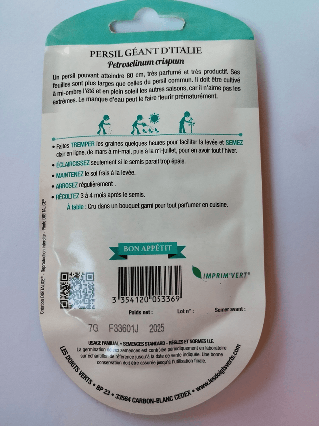 Persil Géant d'Italie