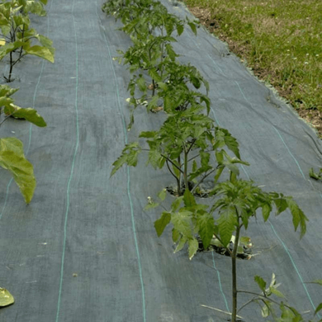 Toile tissée de paillage 90g