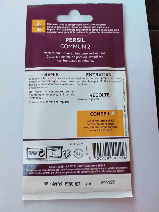 Persil Commun 2
