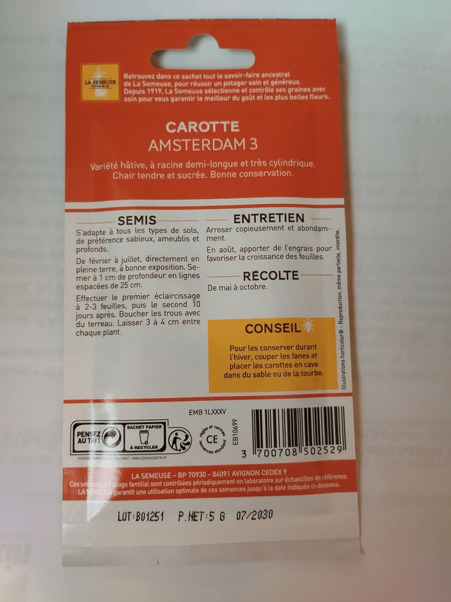 Carotte d’Amsterdam