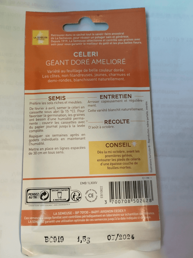 Céleri Géant Doré Améliorée
