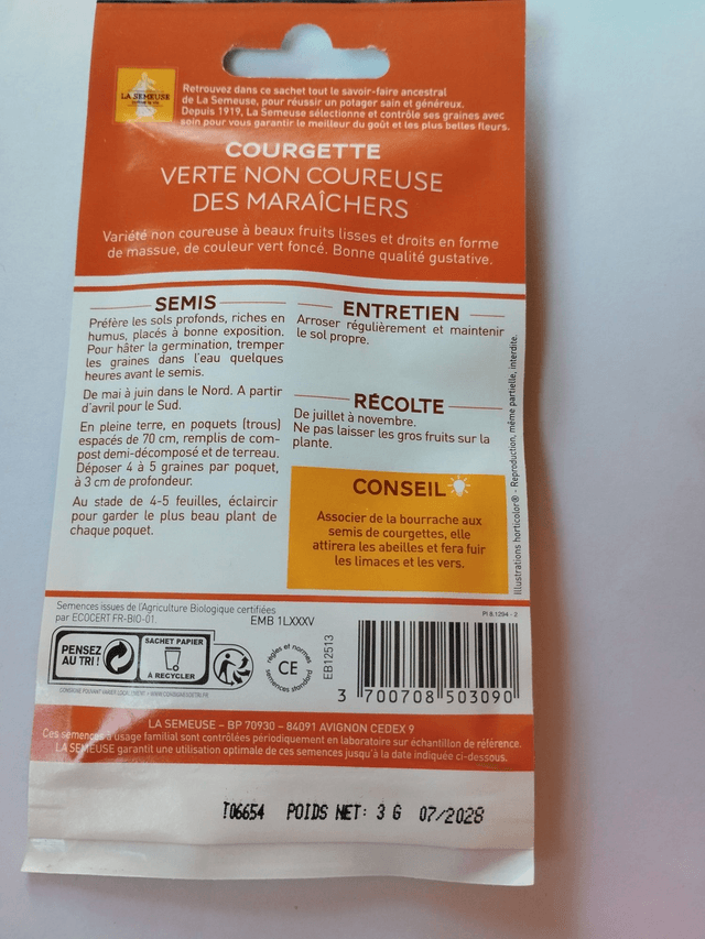 Courgette Verte non coureuse des maraichers BIO