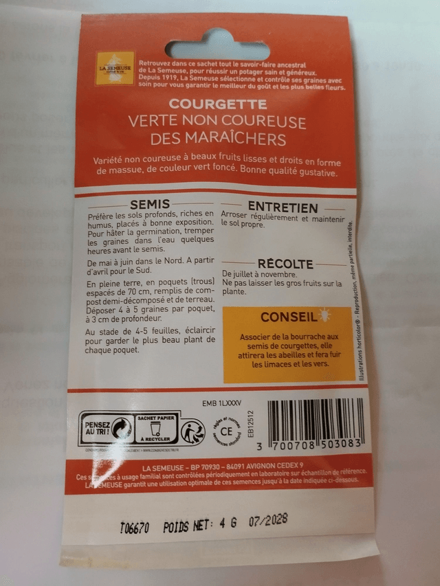 Courgette Verte non coureuse des maraichers