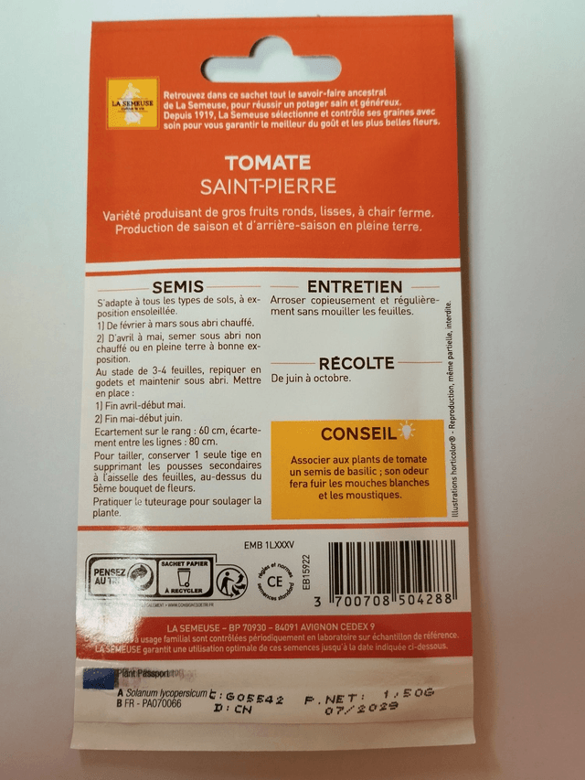 Tomate St Pierre