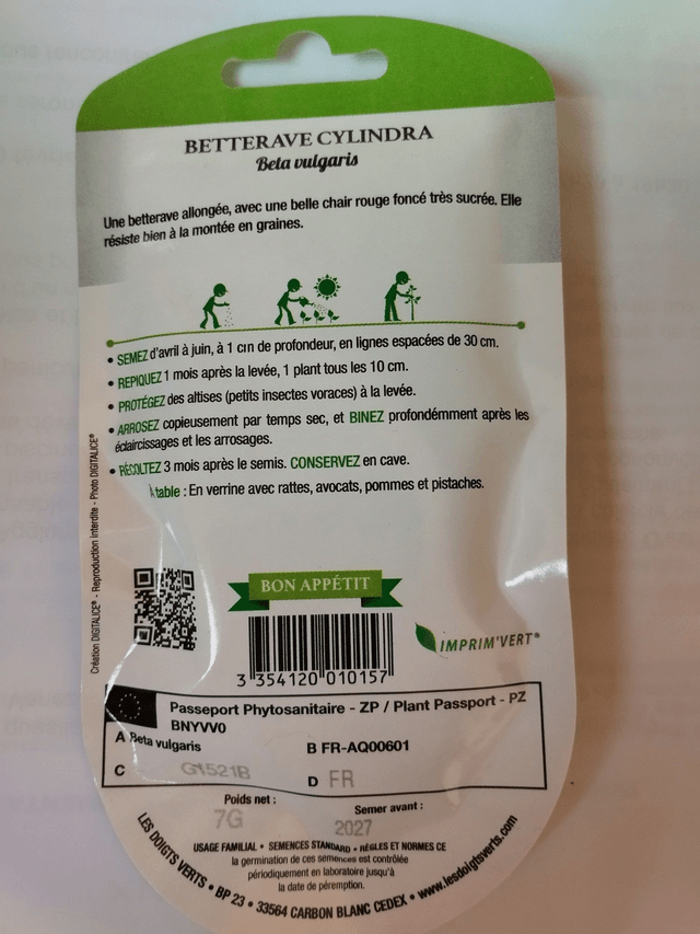 Betterave Cylindra
