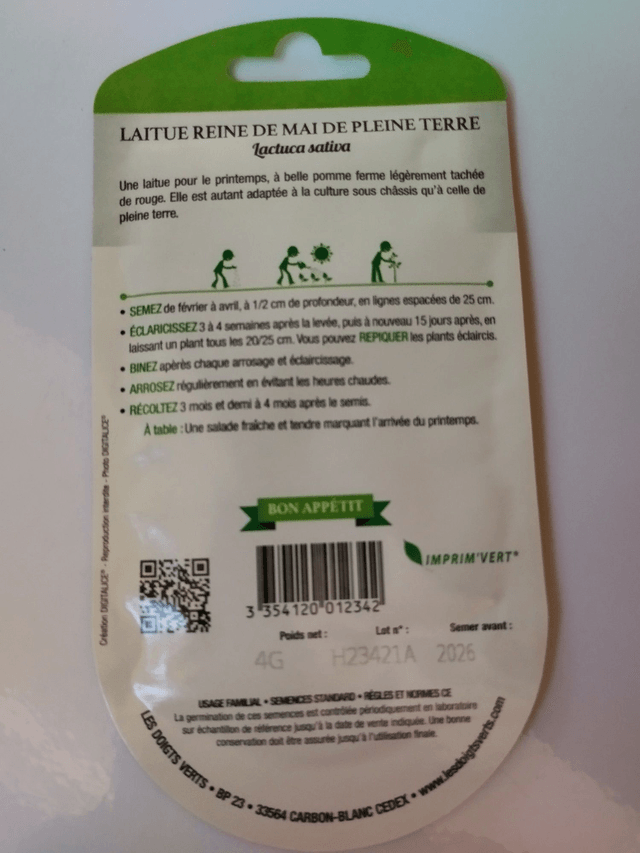 Laitue Reine de mai de pleine terre