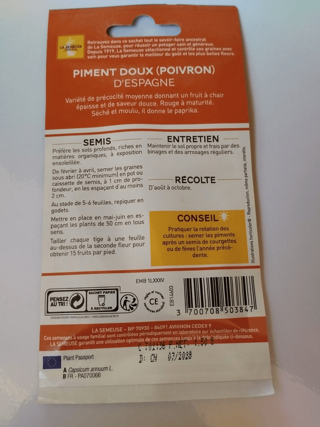 Piment Doux (poivron) d'Espagne