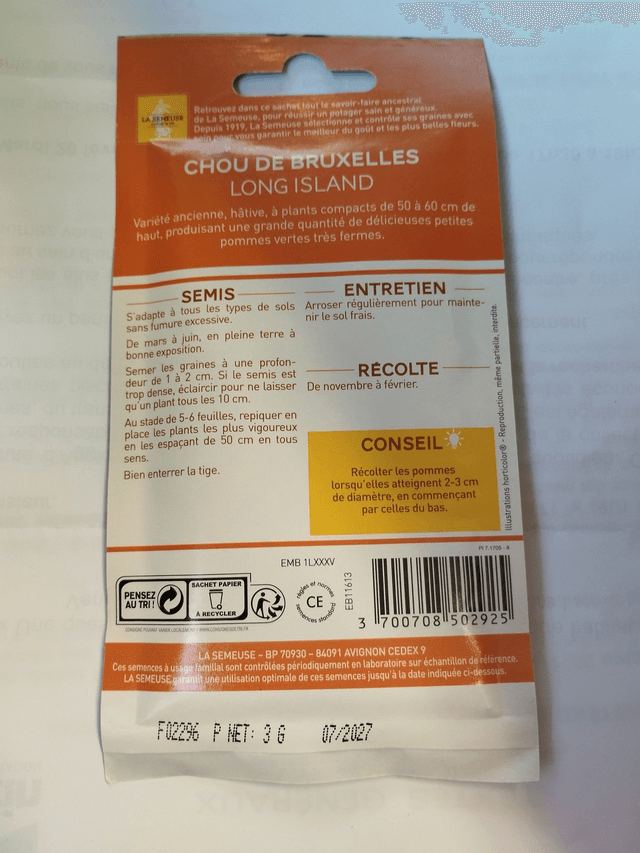 Chou de Bruxelle long island