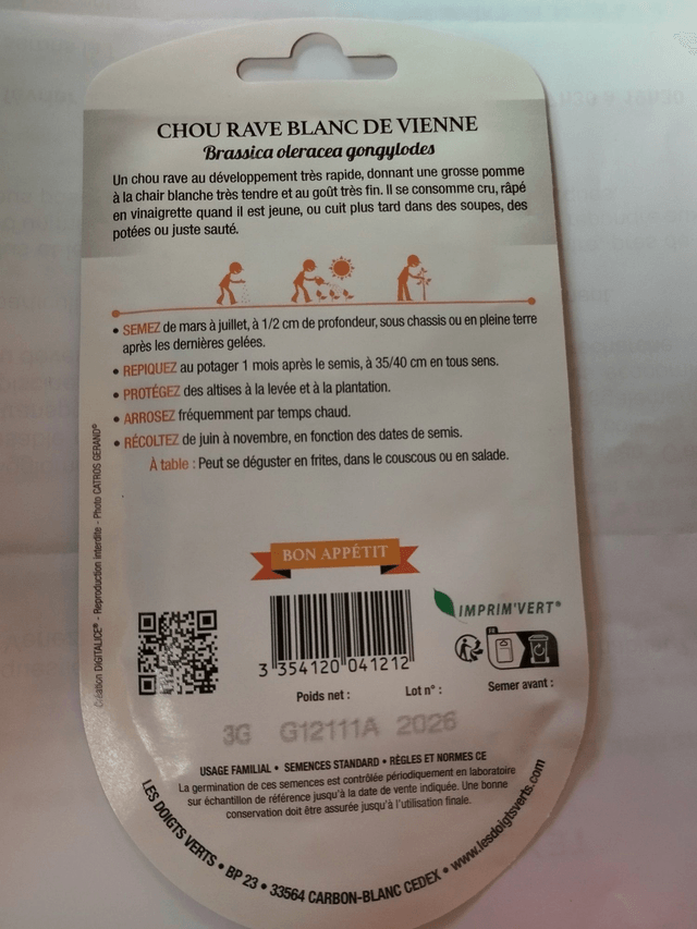 Chou Rave blanc de Viennes