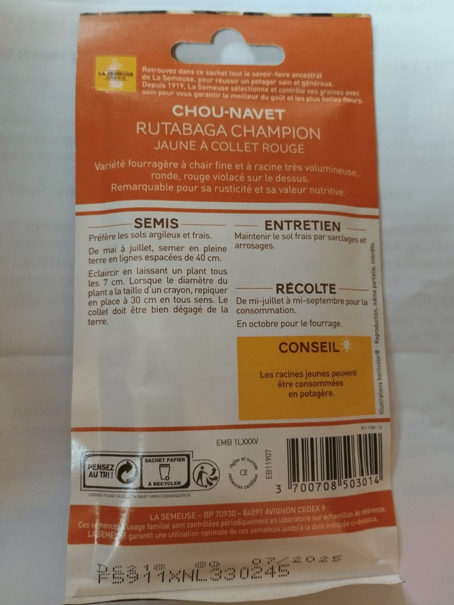 Chou-Navet Rutabaga champion jaune à collet rouge