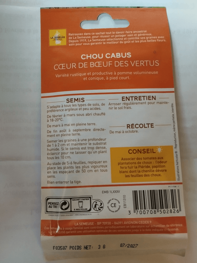 Chou Cabus cœur de bœuf des vertus