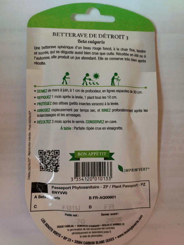 Betterave de Détroit 3