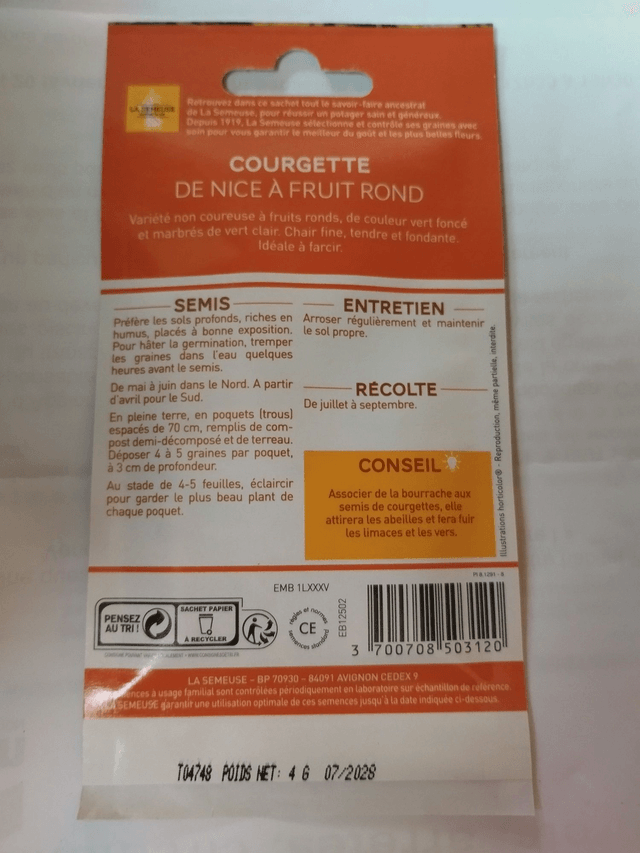 Courgette de Nice à fruit rond