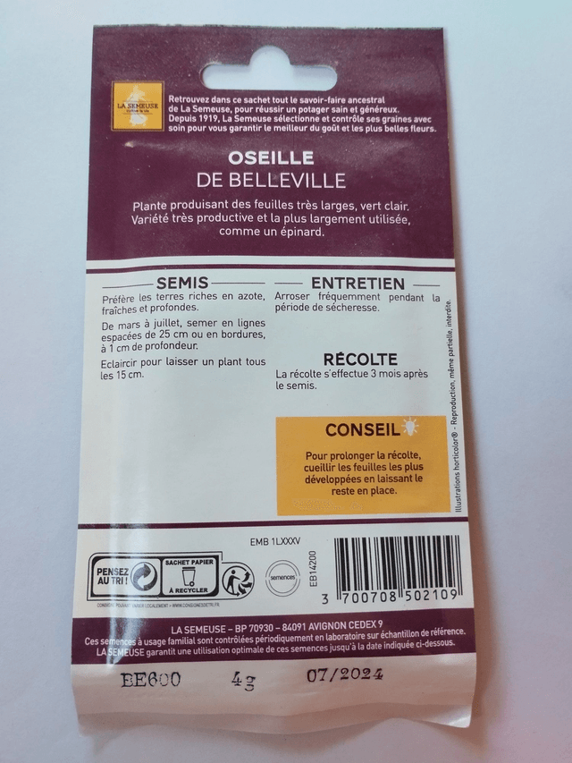 Oseille de Belleville