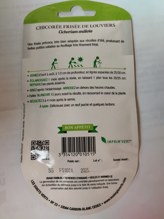 Chicorée Frisée de Louviers