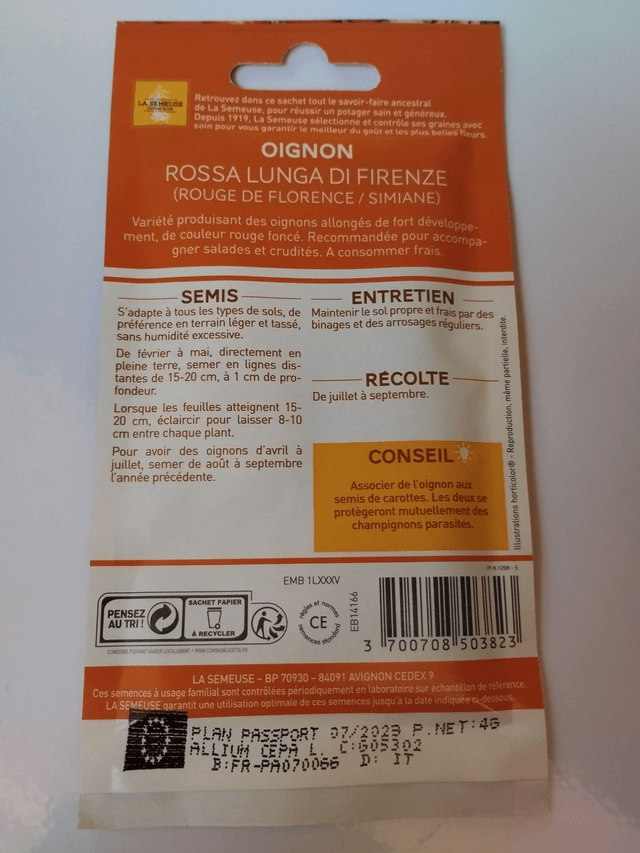 Oignon Rouge de florence