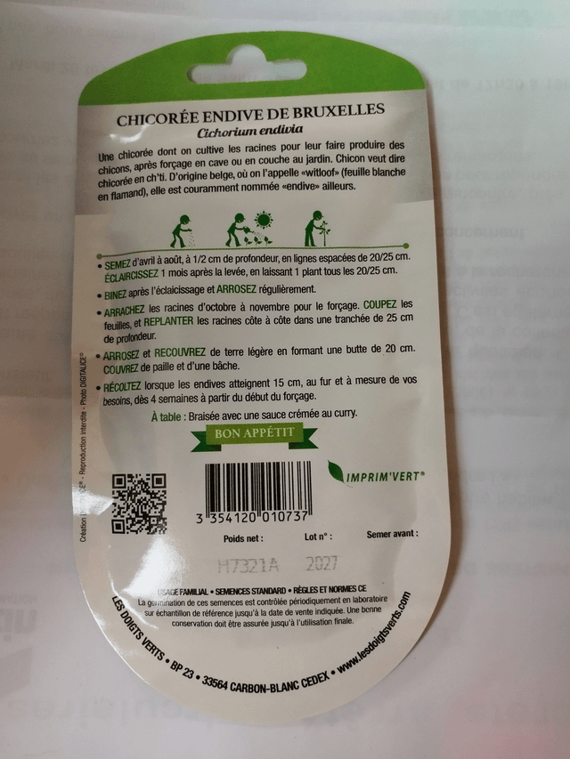 Chicorée Endive de Bruxelles