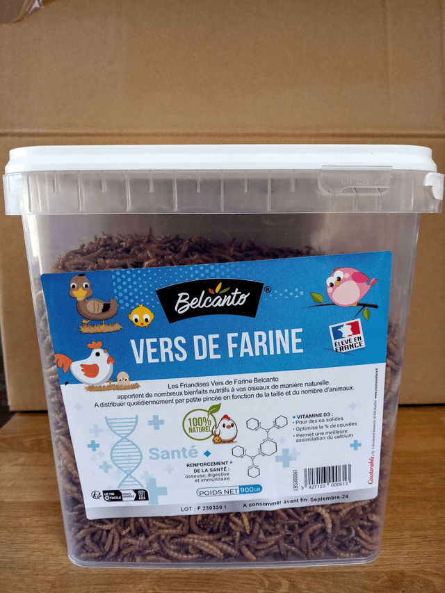 Vers de farine