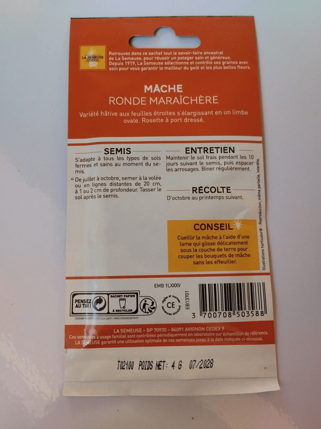 Mâche Ronde maraichère
