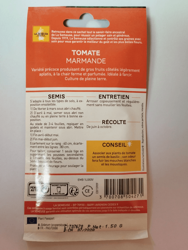 Tomate Marmande