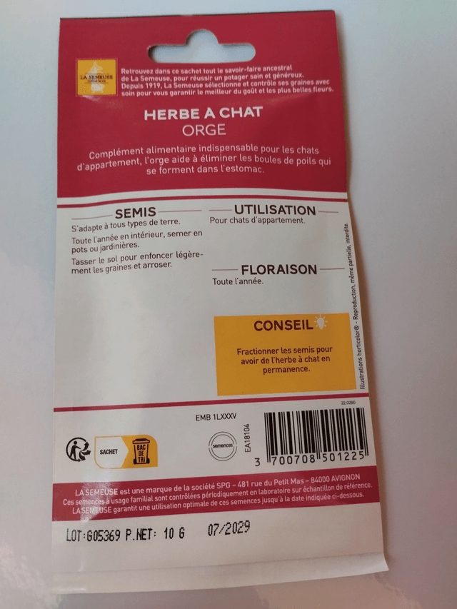 Herbe a chat orge