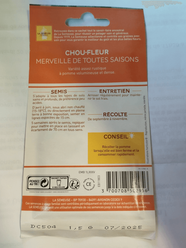 Chou-Fleur Merveille de toute saison