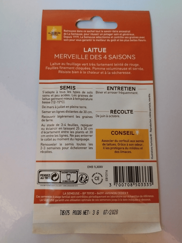 Laitue merveille des saisons