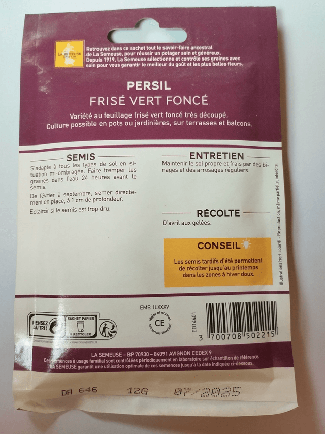 Persil Frisé vert foncé format éco
