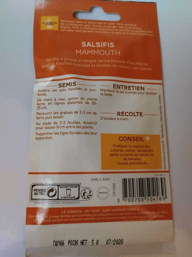 Salsifis Mammouth