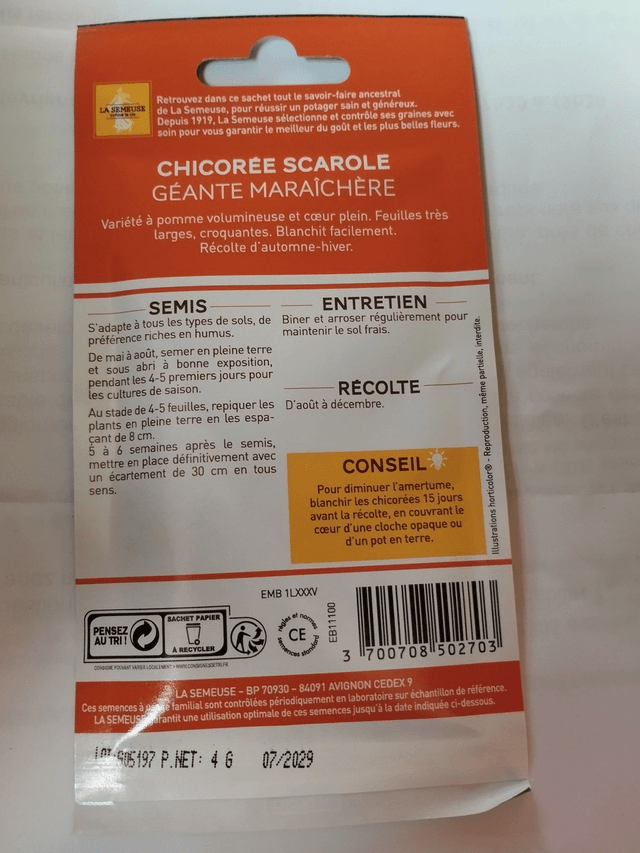 Chicorée Scarole géante maraichère