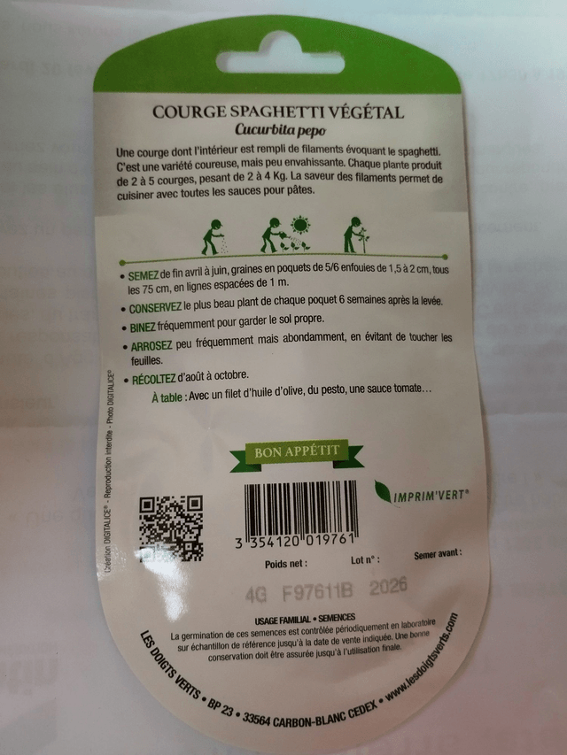 Courge Spaghetti végétal