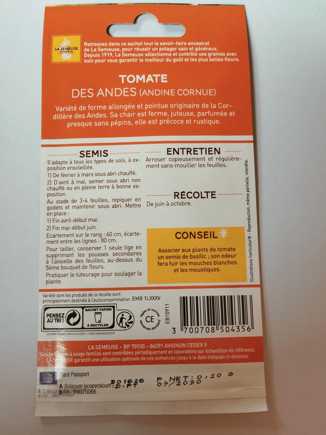 Tomate des Andes(Andine cornue)