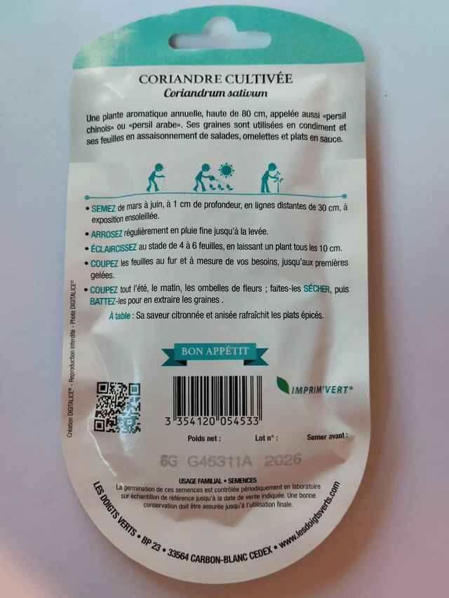 Coriandre cultivée