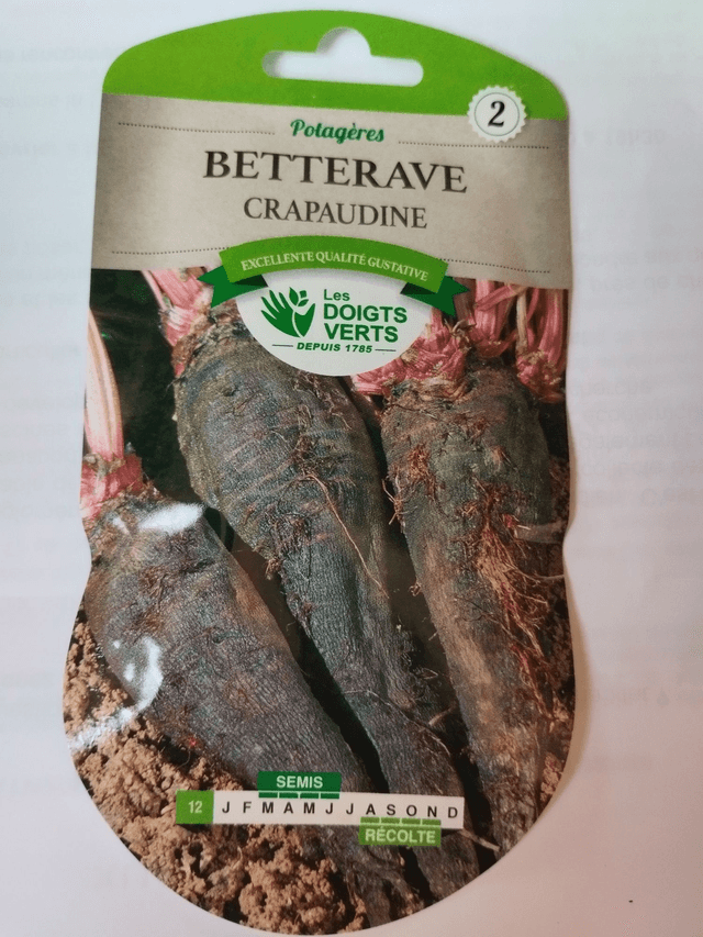 Betterave Crapaudine