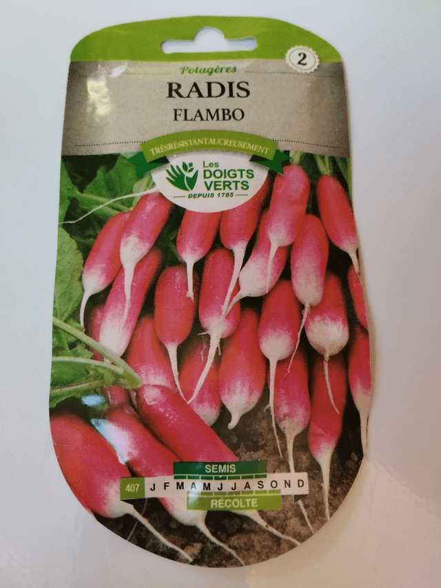 Radis Flambo
