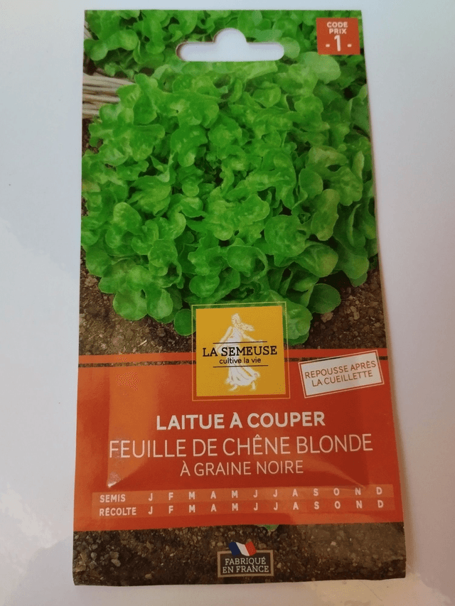 Laitue à couper Feuille de chêne blonde à graine noire