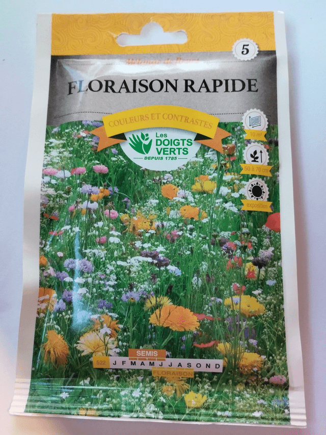 Mélange de fleurs floraison rapide
