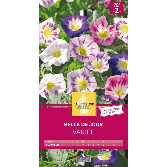Belle de Jour Variée