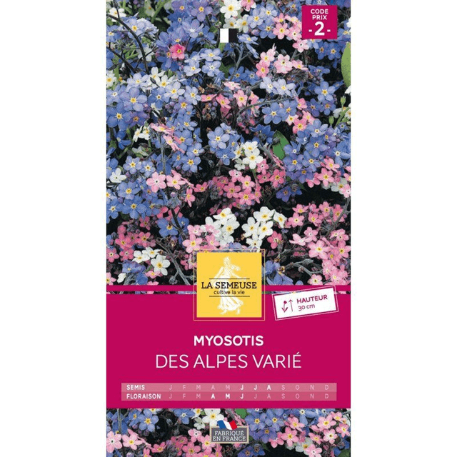 MYOSOTIS DES ALPES VARIE