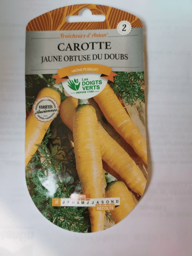 Carotte Jaune obtuse du Doubs