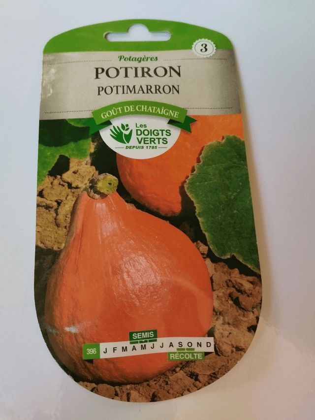 Potiron Potimarron