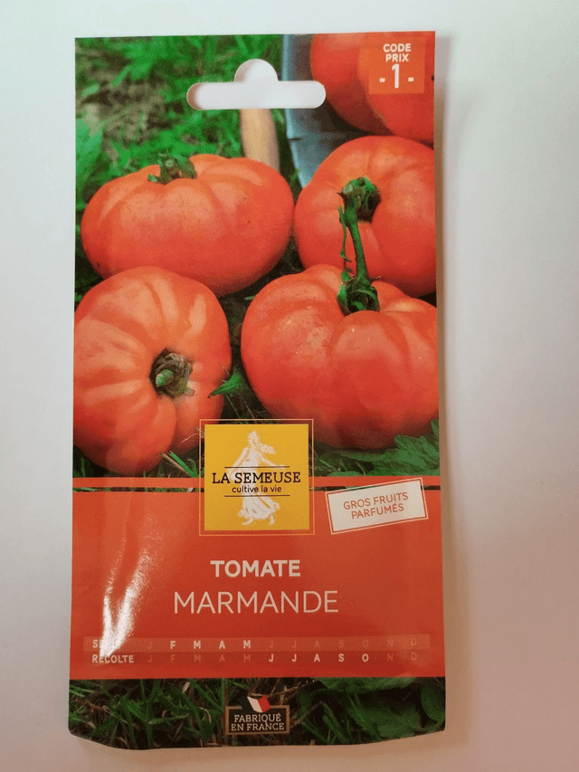 Tomate Marmande