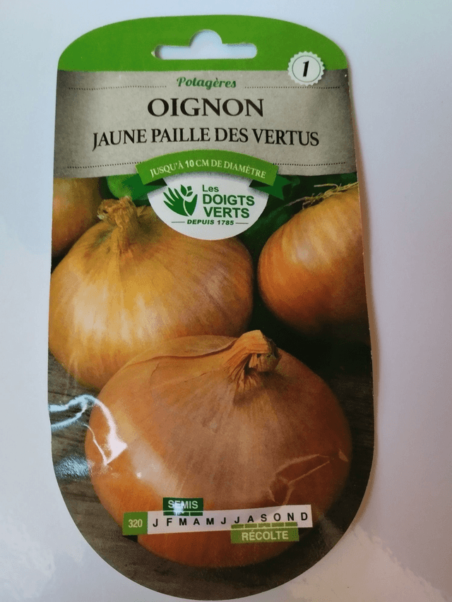 Oignon Jaune paille des vertus