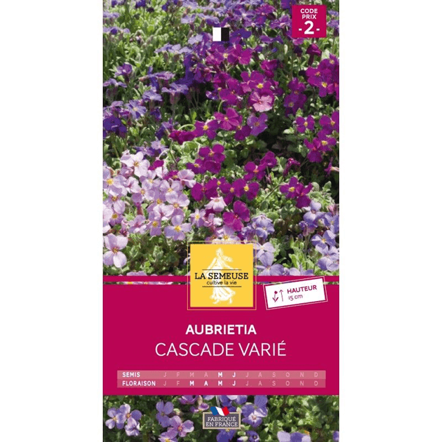 Aubretia Cascade Varié