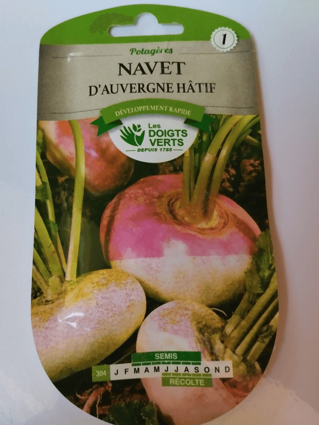 Navet d&#039;Auvergne hatif