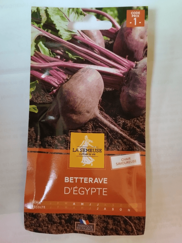 Betterave d&#039;Egypte