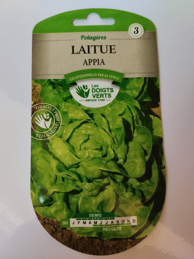 Laitue Appia